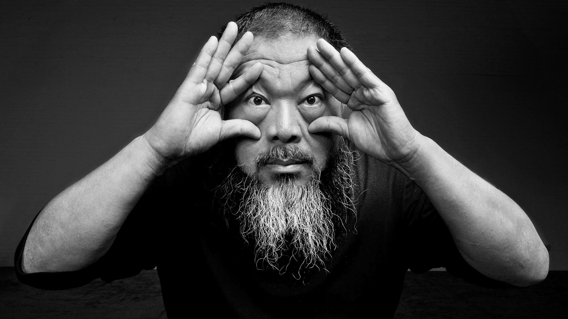 Ai Weiwei Maybe, Maybe Not 